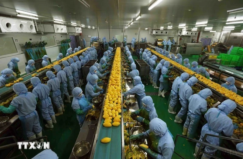 Nhiều không gian phát triển thương mại giữa Việt Nam và Thụy Điển
